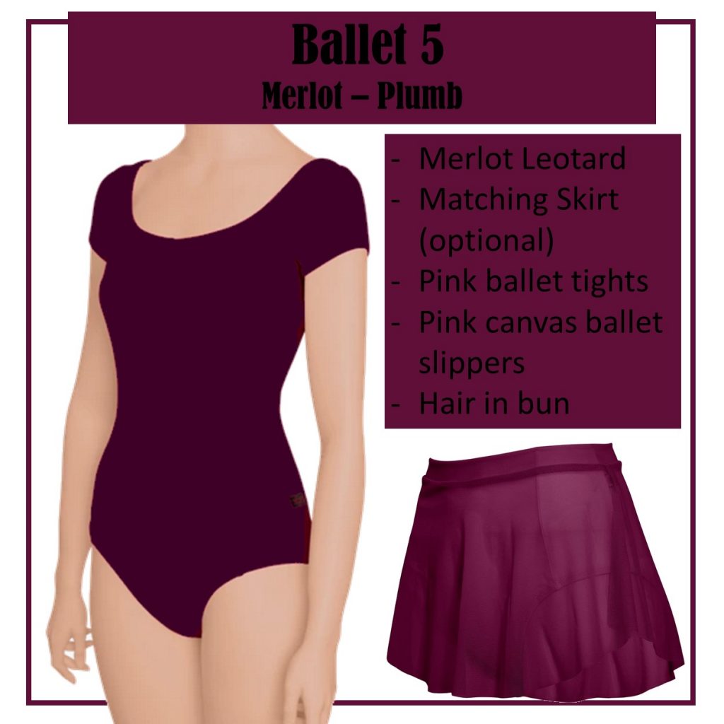 Northern Lights Ballet Dress code. 